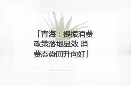 青海：提振消费政策落地显效 消费态势回升向好