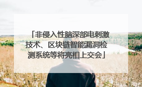 非侵入性脑深部电刺激技术、区块链智能漏洞检测系统等将亮相上交会
