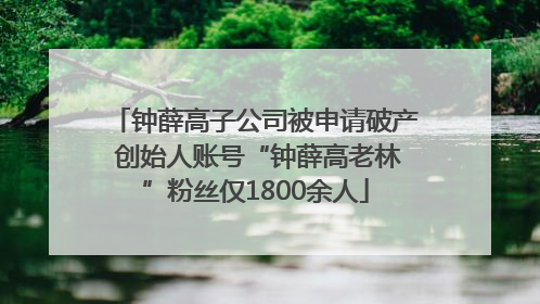 钟薛高子公司被申请破产 创始人账号“钟薛高老林”粉丝仅1800余人
