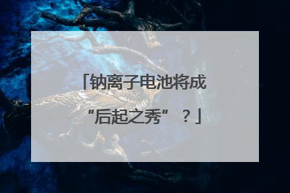 钠离子电池将成“后起之秀”？