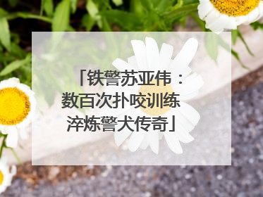 铁警苏亚伟：数百次扑咬训练淬炼警犬传奇