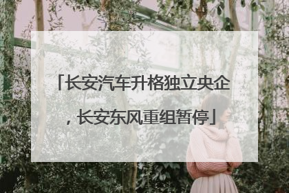 长安汽车升格独立央企，长安东风重组暂停