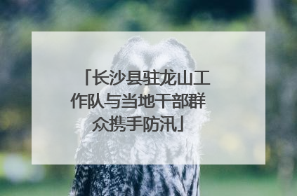 长沙县驻龙山工作队与当地干部群众携手防汛