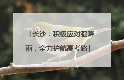 长沙：积极应对强降雨，全力护航高考路