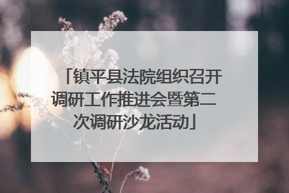 镇平县法院组织召开调研工作推进会暨第二次调研沙龙活动