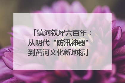 镇河铁犀六百年：从明代“防汛神器”到黄河文化新地标