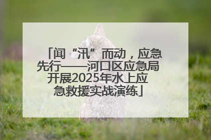 闻“汛”而动，应急先行——河口区应急局开展2025年水上应急救援实战演练
