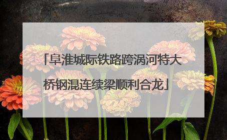 阜淮城际铁路跨涡河特大桥钢混连续梁顺利合龙