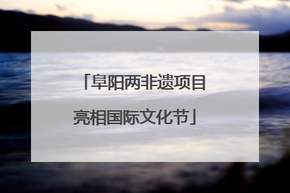 阜阳两非遗项目亮相国际文化节