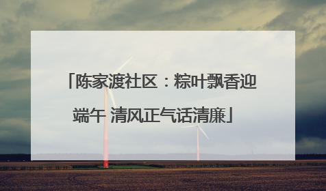 陈家渡社区：粽叶飘香迎端午 清风正气话清廉