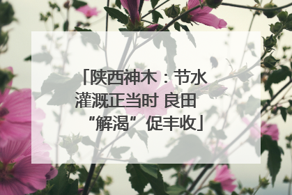 陕西神木：节水灌溉正当时 良田“解渴”促丰收