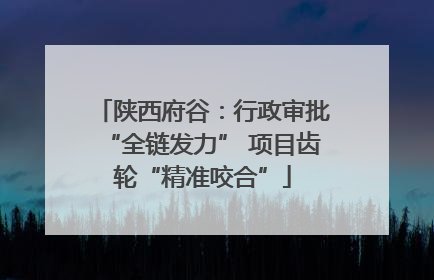 陕西府谷：行政审批“全链发力” 项目齿轮“精准咬合”
