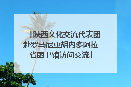 陕西文化交流代表团赴罗马尼亚胡内多阿拉省图书馆访问交流