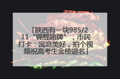 陕西有一块985/211“锦鲤路牌”，市民打卡：寓意美好，拍个视频祝高考生金榜题名