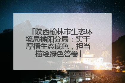 陕西榆林市生态环境局榆阳分局：实干厚植生态底色，担当描绘绿色答卷