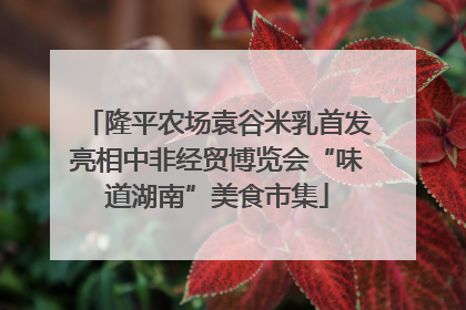 隆平农场袁谷米乳首发亮相中非经贸博览会“味道湖南”美食市集