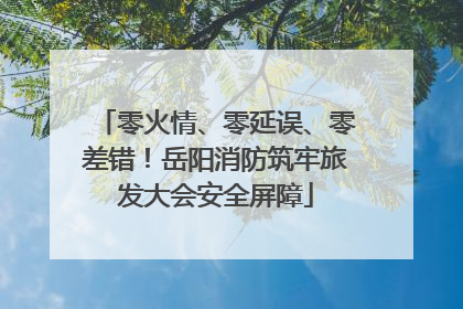零火情、零延误、零差错！岳阳消防筑牢旅发大会安全屏障