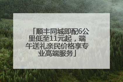 顺丰同城即配6公里低至11元起，端午送礼亲民价格享专业高端服务