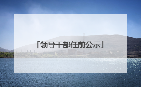 领导干部任前公示