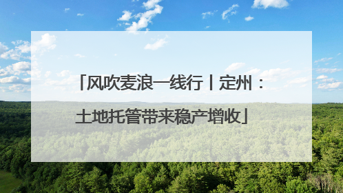风吹麦浪一线行丨定州：土地托管带来稳产增收