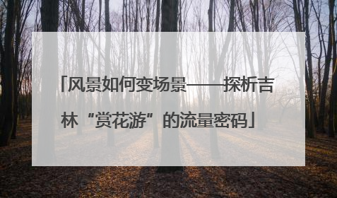 风景如何变场景——探析吉林“赏花游”的流量密码