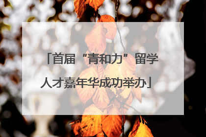 首届“青和力”留学人才嘉年华成功举办
