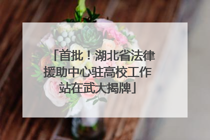 首批！湖北省法律援助中心驻高校工作站在武大揭牌