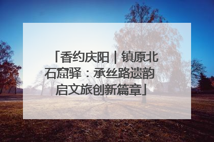 香约庆阳｜镇原北石窟驿：承丝路遗韵 启文旅创新篇章