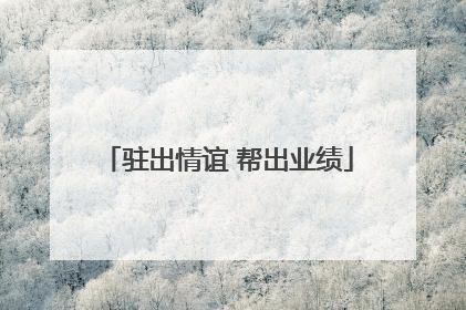 驻出情谊 帮出业绩