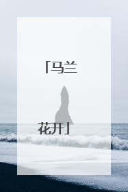 马兰花开