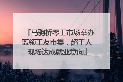 马驹桥零工市场举办蓝领工友市集，超千人现场达成就业意向