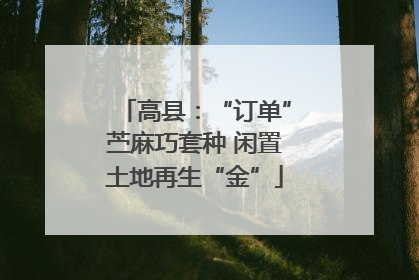 高县：“订单”苎麻巧套种 闲置土地再生“金”