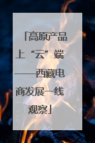 高原产品上“云”端——西藏电商发展一线观察