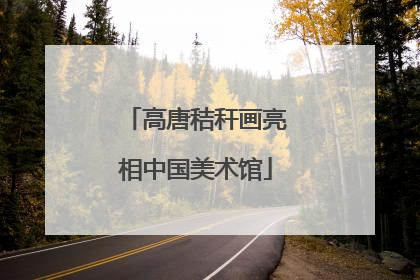 高唐秸秆画亮相中国美术馆