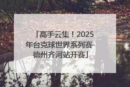 高手云集！2025年台克球世界系列赛-德州齐河站开赛