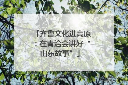 齐鲁文化进高原：在青洽会讲好“山东故事”