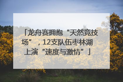 龙舟赛拥抱“天然竞技场”，12支队伍枣林湖上演“速度与激情”