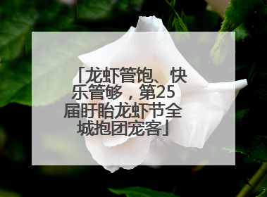 龙虾管饱、快乐管够，第25届盱眙龙虾节全城抱团宠客
