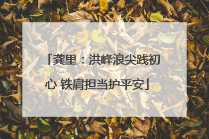 龚里：洪峰浪尖践初心 铁肩担当护平安