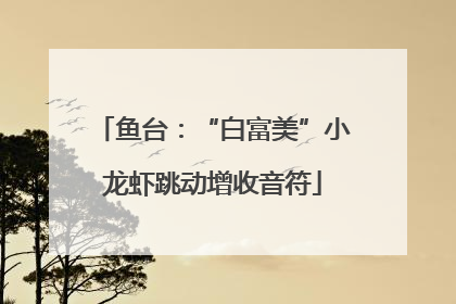 鱼台：“白富美”小龙虾跳动增收音符