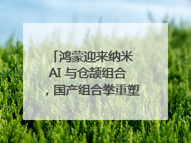 鸿蒙迎来纳米 AI 与仓颉组合，国产组合拳重塑AI搜索体验｜新经济观察