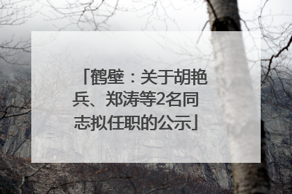 鹤壁：关于胡艳兵、郑涛等2名同志拟任职的公示
