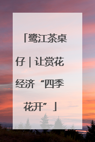 鹭江茶桌仔｜让赏花经济“四季花开”