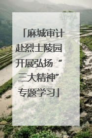 麻城审计赴烈士陵园开展弘扬“三大精神”专题学习