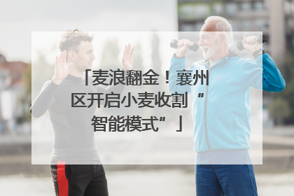 麦浪翻金！襄州区开启小麦收割“智能模式”