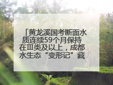 黄龙溪国考断面水质连续59个月保持在Ⅲ类及以上，成都水生态“变形记”藏着这些密码
