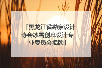 黑龙江省勘察设计协会冰雪创意设计专业委员会揭牌