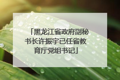 黑龙江省政府副秘书长许振宇已任省教育厅党组书记