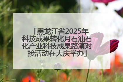 黑龙江省2025年科技成果转化月石油石化产业科技成果路演对接活动在大庆举办
