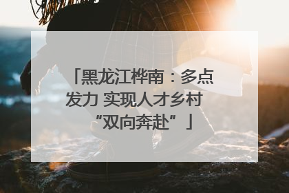 黑龙江桦南：多点发力 实现人才乡村“双向奔赴”